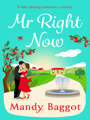 cover image of Mr Right Now